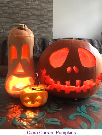 CiaraCurran_Pumpkins.jpg