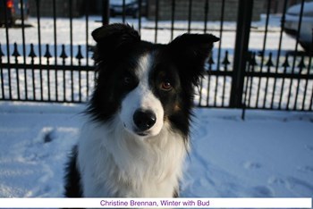 WinterWithBud_Christine.jpg (1)