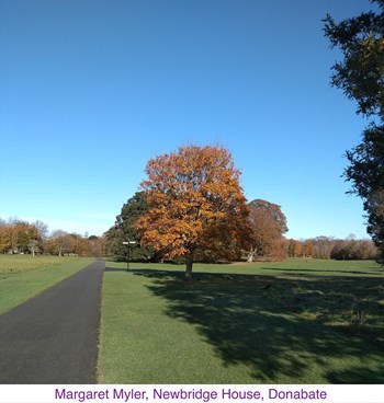 MargaretMyler_NewbridgeHouse.jpg (1)