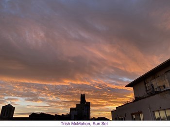 TrishMcMahon_5.jpg (1)