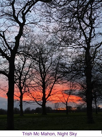 TrishMcMahon_NovPhoenixPark.jpg (1)