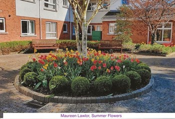 MaureenLawlorSummer Flowers.jpg